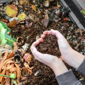 Composting at Home: Tips and Uses