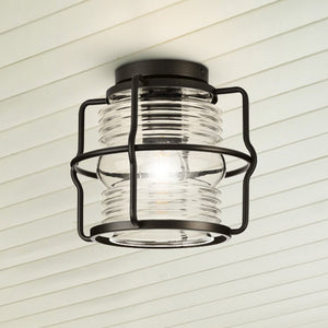 Urban Ambiance - Ceiling Light - UHP1470 Coastal Outdoor Ceiling Light, 8 - 11/16''H x 9 - 3/4"W x 9 - 3/4''D, Matte Black Finish, Laramie Collection - 